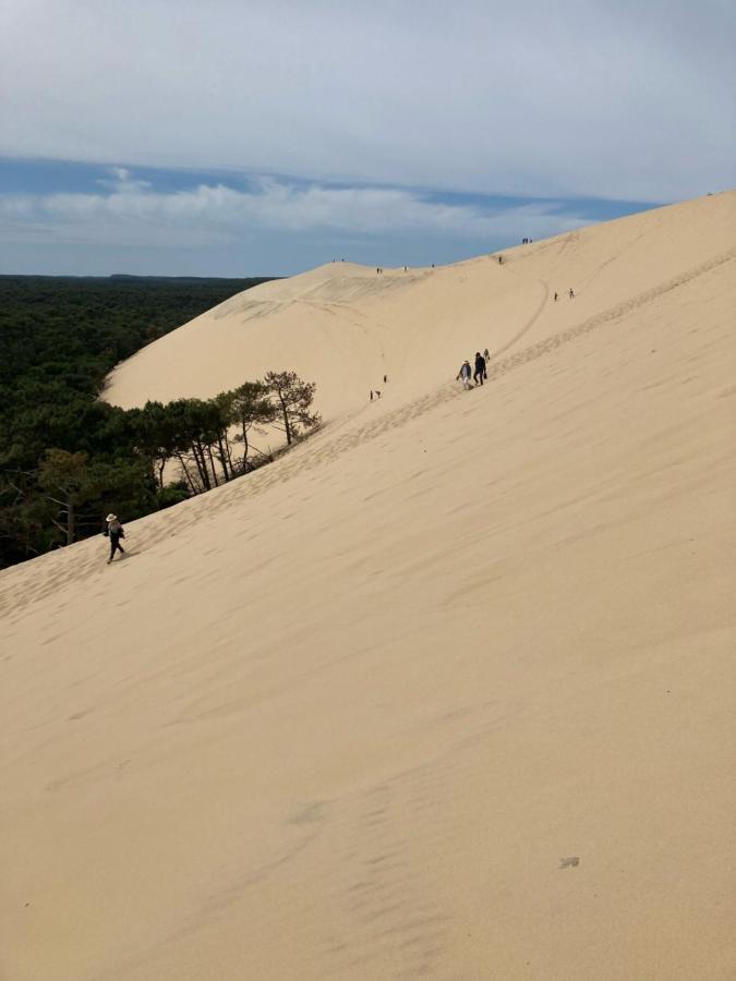 Village Seasonova Bassin D'Arcachon Оданж Екстериор снимка