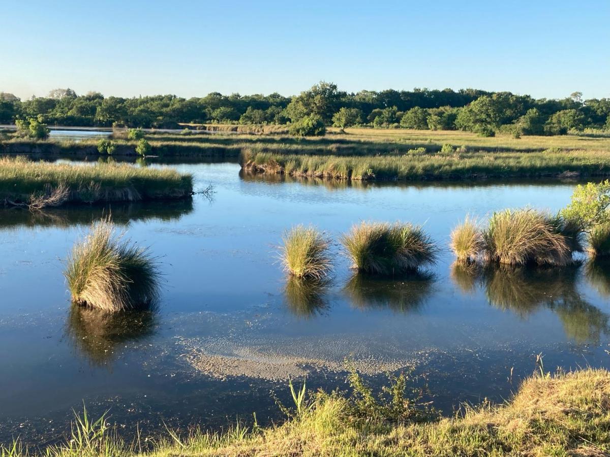 Village Seasonova Bassin D'Arcachon Оданж Екстериор снимка