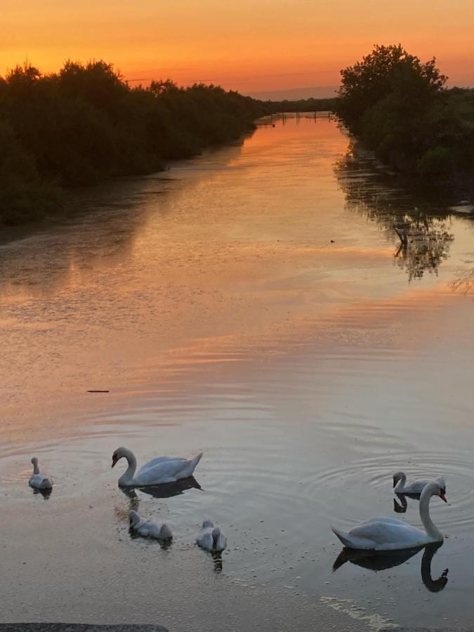 Village Seasonova Bassin D'Arcachon Оданж Екстериор снимка